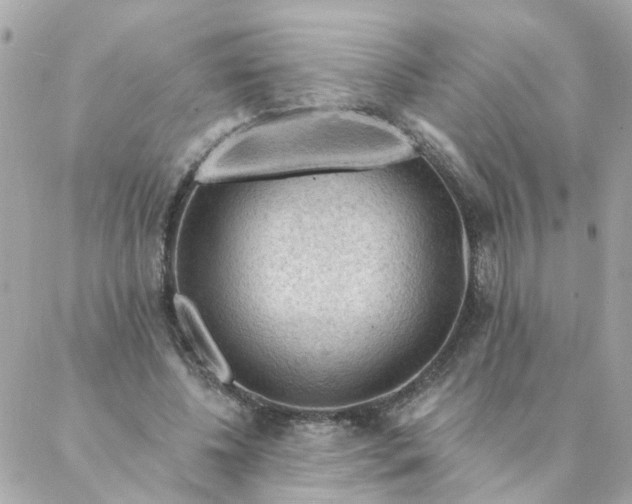 X0000087380540200705041948