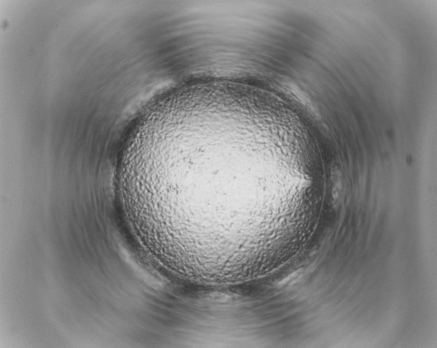 X0000087380542200705041948