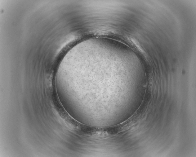 X0000087380543200705041948