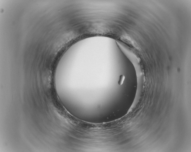 X0000087380544200705041948