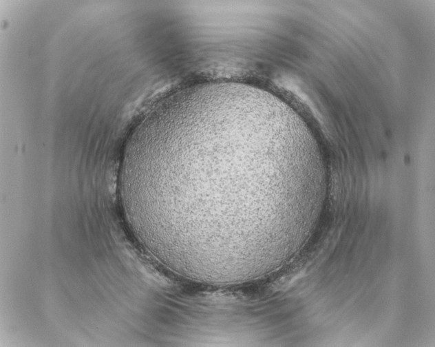 X0000087380545200705041948