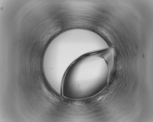 X0000087380546200705041948