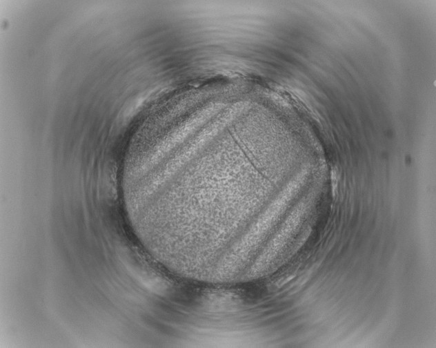 X0000087380547200705041948