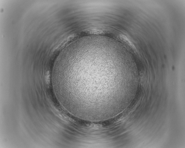 X0000087380549200705041948