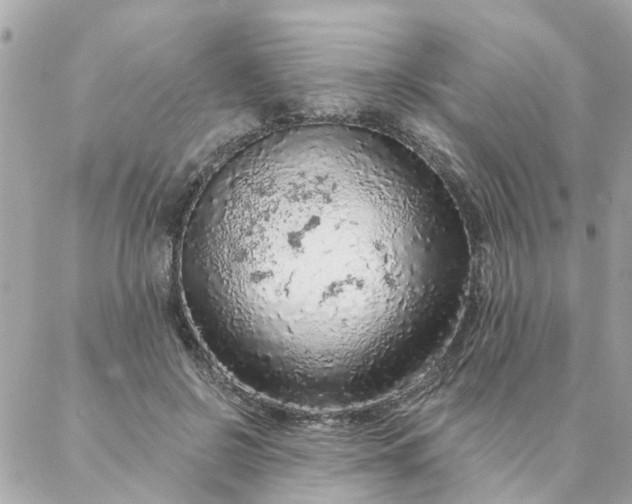 X0000087380550200705041948