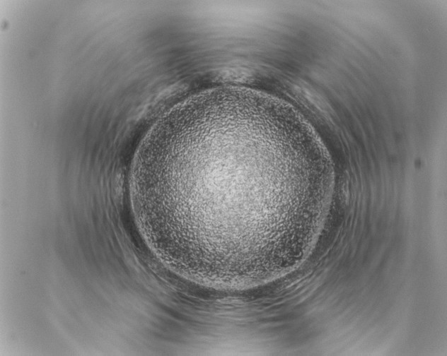 X0000087380551200705041948