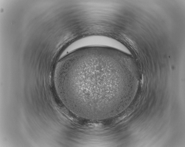 X0000087380552200705041948