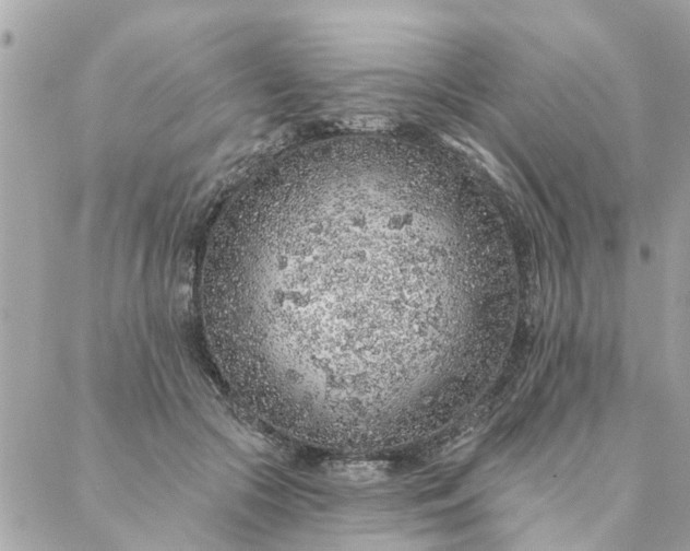 X0000087380553200705041948