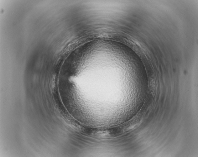 X0000087380554200705041948