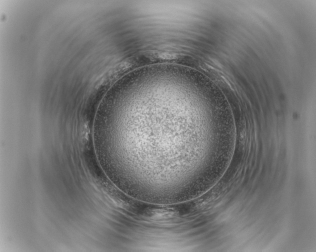 X0000087380555200705041948