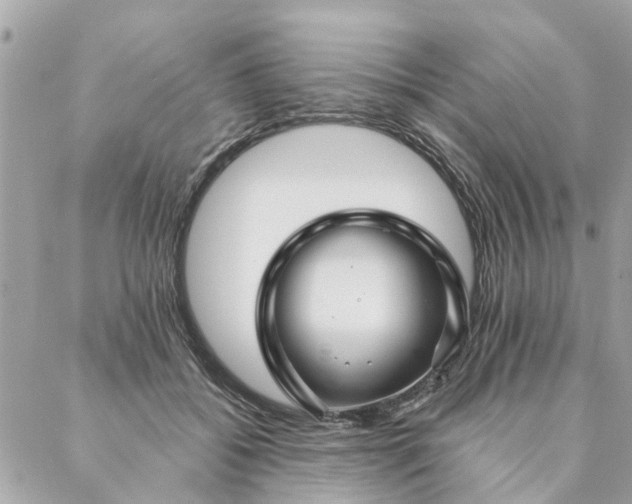 X0000087380556200705041948