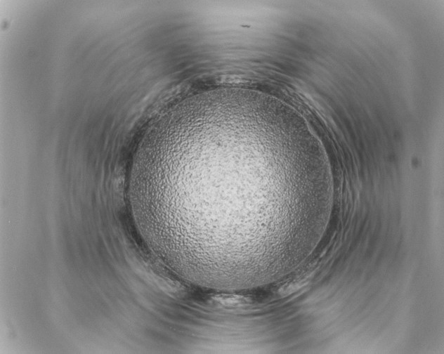 X0000087380557200705041948