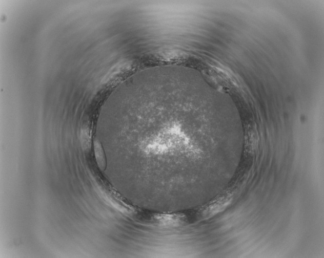 X0000087380558200705041948