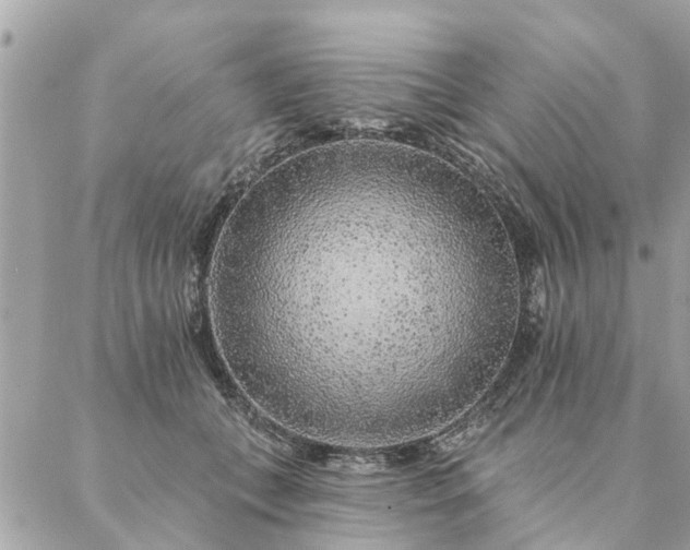 X0000087380559200705041948