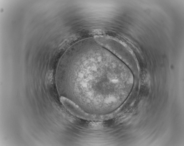 X0000087380560200705041948