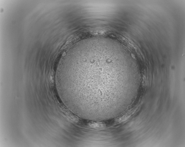 X0000087380561200705041948