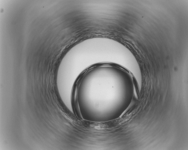 X0000087380564200705041948