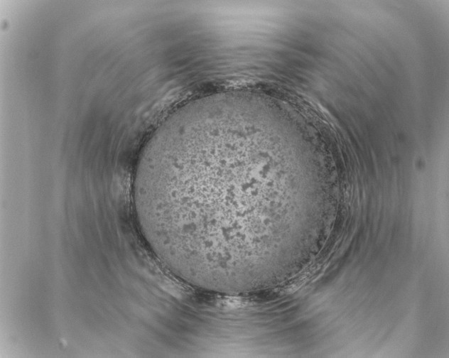 X0000087380565200705041948