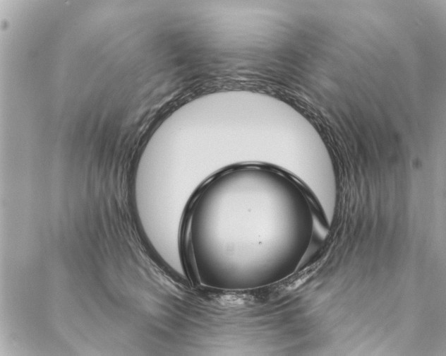 X0000087380566200705041948