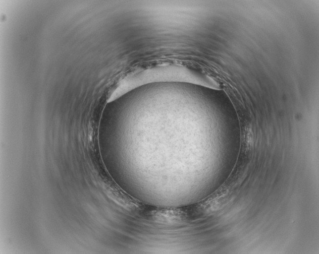 X0000087380567200705041948