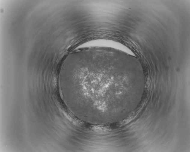 X0000087380568200705041948