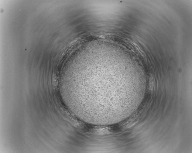 X0000087380569200705041948