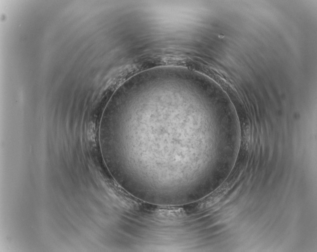 X0000087380571200705041948