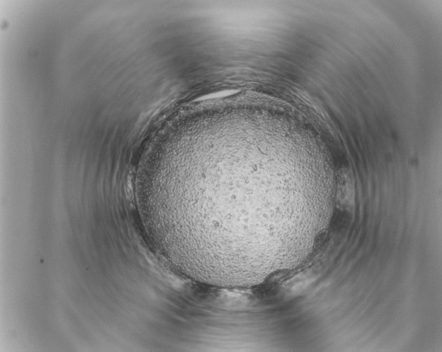 X0000087380573200705041948