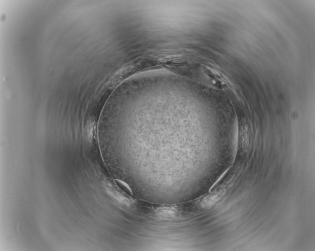 X0000087380574200705041948