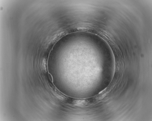 X0000087380575200705041948