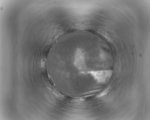 X0000087380576200705041948