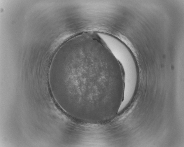 X0000087380577200705041947