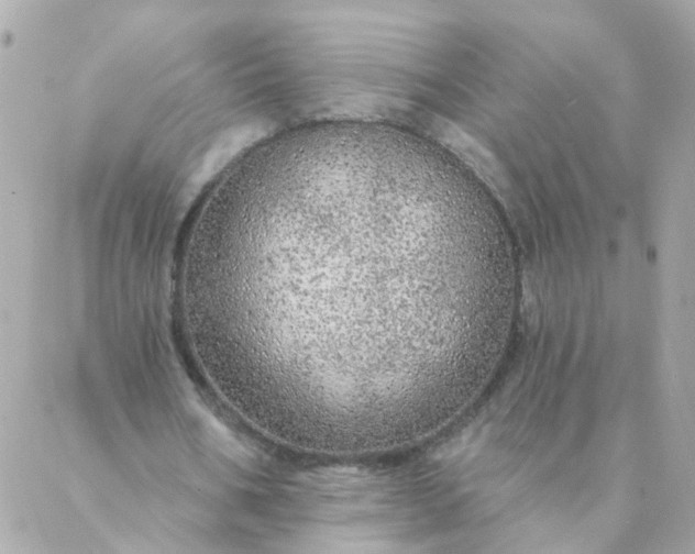 X0000087380578200705041947