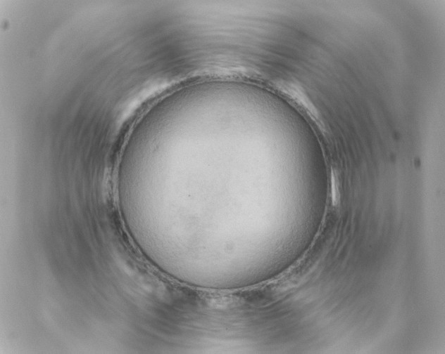 X0000087380579200705041947