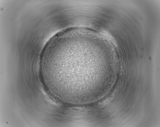 X0000087380580200705041947