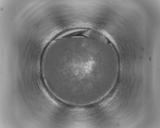 X0000087380581200705041947