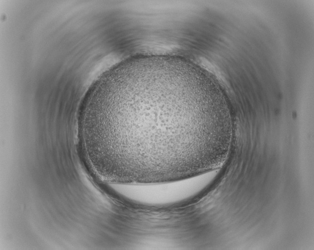 X0000087380582200705041947