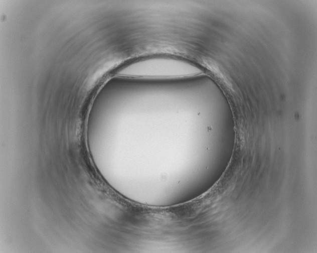 X0000087380583200705041947