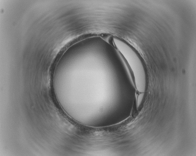 X0000087380584200705041947