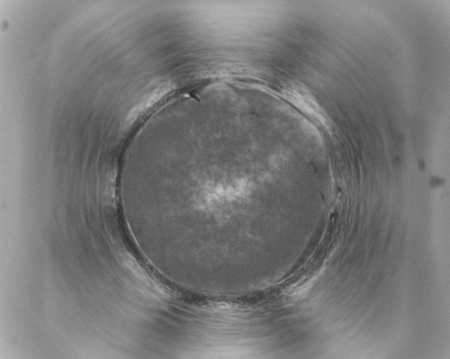 X0000087380585200705041947