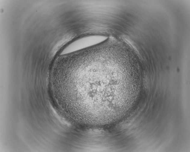 X0000087380586200705041947