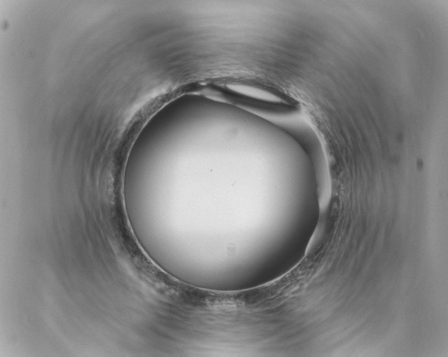 X0000087380587200705041947