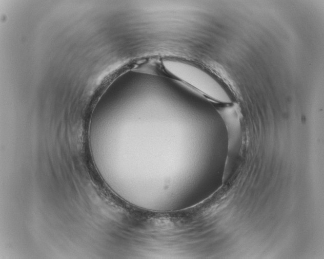 X0000087380588200705041947