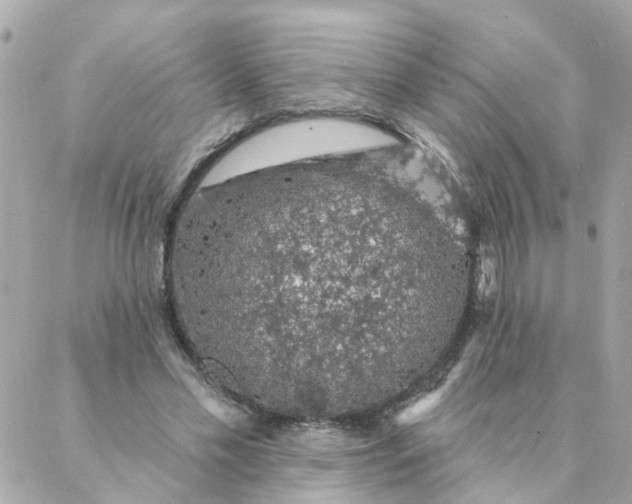 X0000087380589200705041947