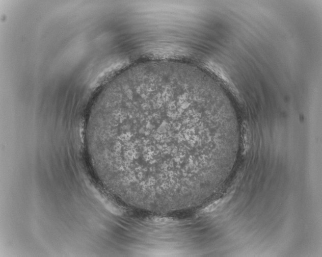 X0000087380590200705041947