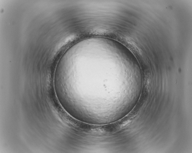 X0000087380591200705041947