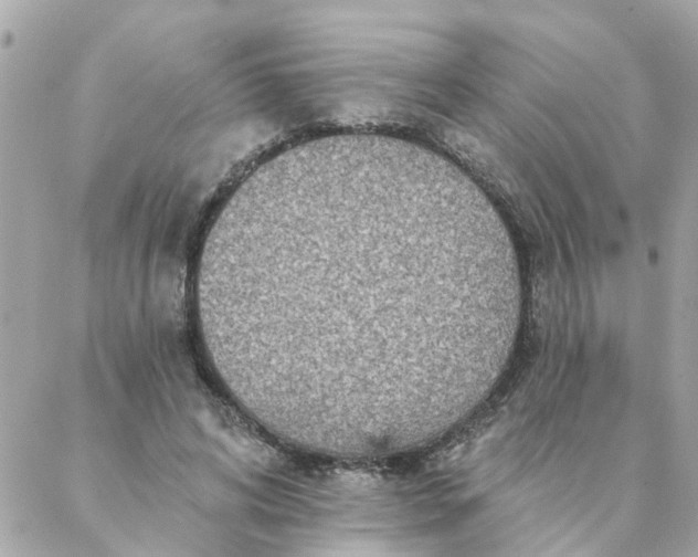 X0000087380592200705041947