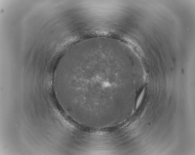 X0000087380593200705041947