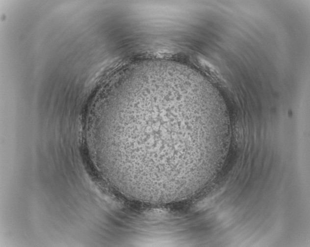 X0000087380594200705041947