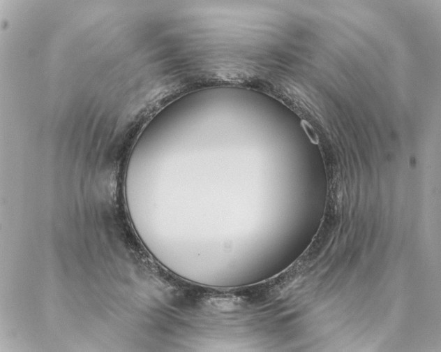 X0000087380595200705041947